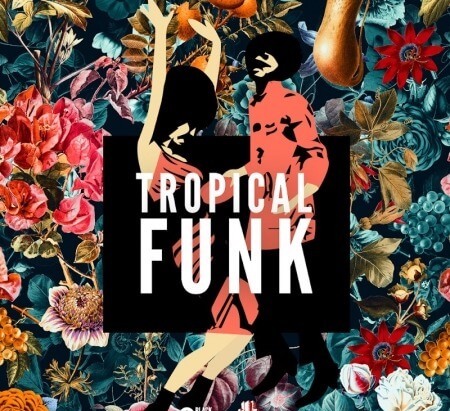 Black Octopus Sound Tropical Funk by Basement Freaks WAV